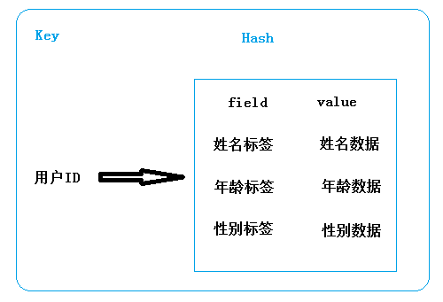 Hash 存储